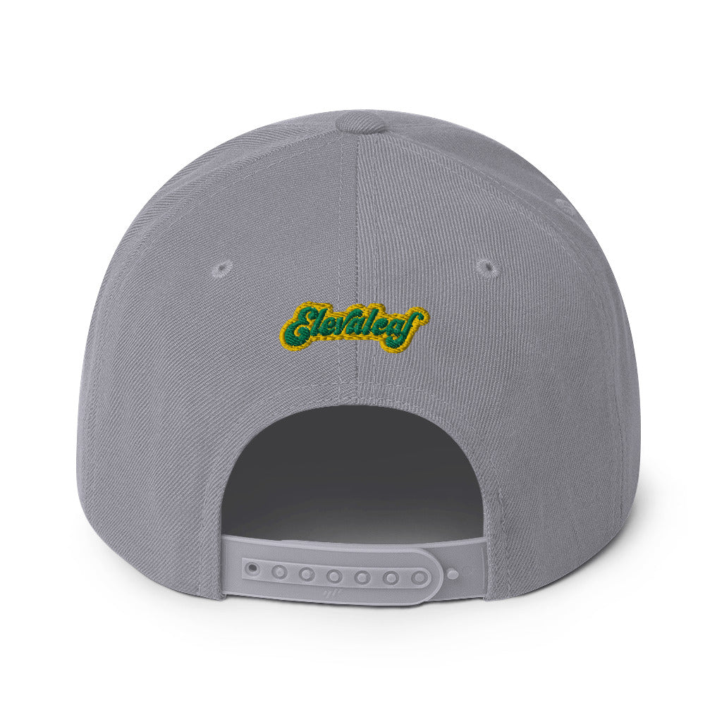 Honolulu Snapback Hat - Elevaleaf -