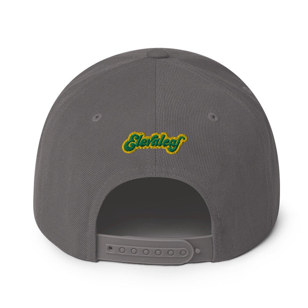 Honolulu Snapback Hat - Elevaleaf -