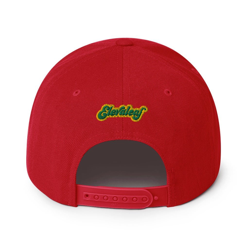 Honolulu Snapback Hat - Elevaleaf -