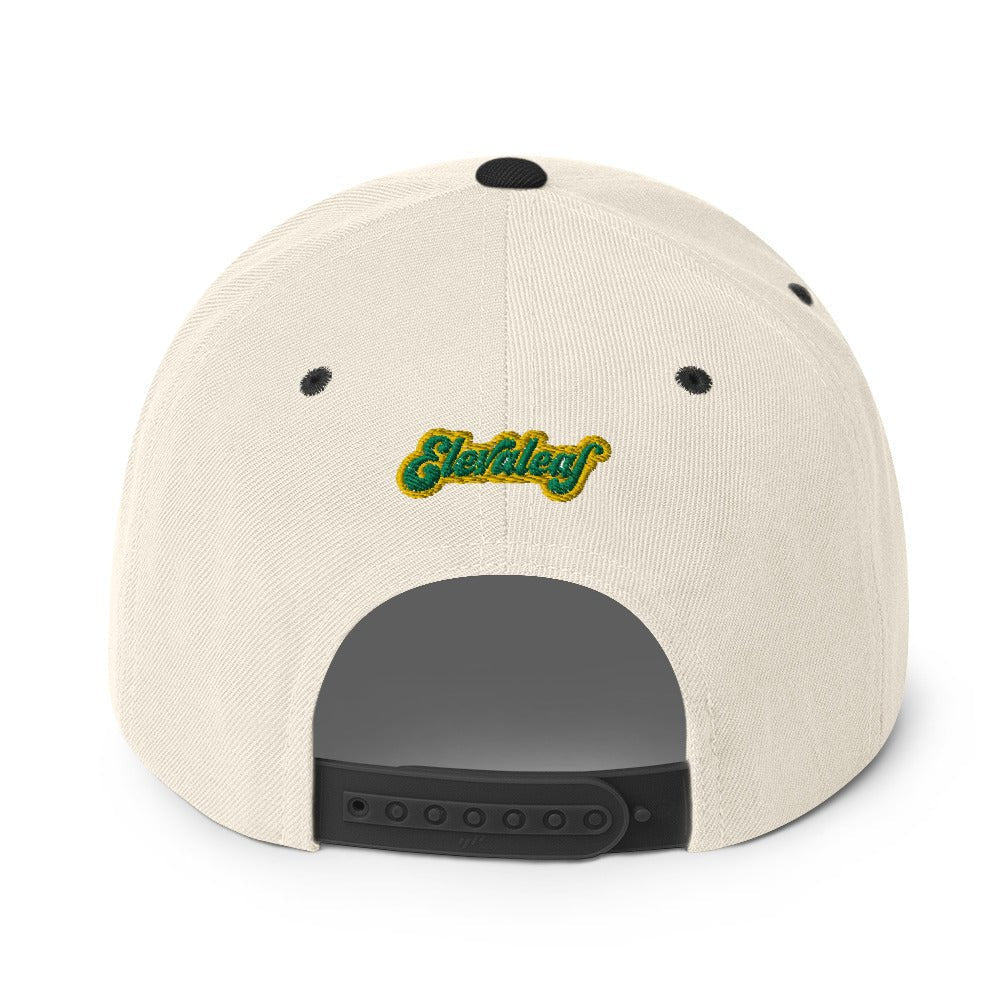 Kalihi Snapback Hat - Elevaleaf -